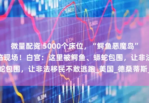 微量配资 5000个床位，“鳄鱼恶魔岛”正式启用，特朗普亲临现场！白宫：这里被鳄鱼、蟒蛇包围，让非法移民不敢逃跑_美国_德桑蒂斯_莱维特