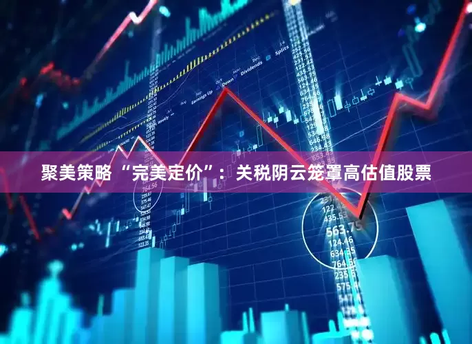 聚美策略 “完美定价”：关税阴云笼罩高估值股票