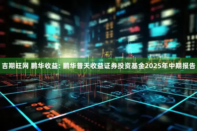 吉期旺网 鹏华收益: 鹏华普天收益证券投资基金2025年中期报告