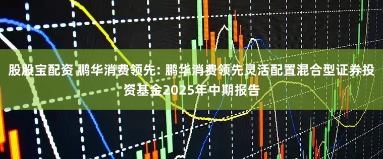 股股宝配资 鹏华消费领先: 鹏华消费领先灵活配置混合型证券投资基金2025年中期报告